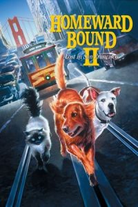 Nonton film Homeward Bound II: Lost in San Francisco (1996) terbaru sub indo