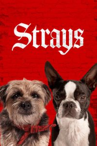 Nonton film Strays (2023) terbaru sub indo