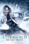 Nonton film Underworld: Blood Wars (2016) terbaru sub indo