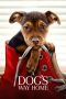 Nonton film A Dog’s Way Home (2019) terbaru sub indo